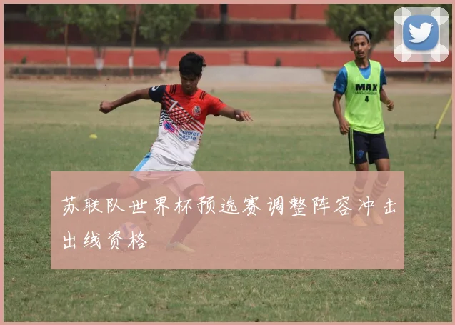苏联队世界杯预选赛调整阵容冲击出线资格